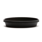 SAUCER TERRA BLACK 10IN